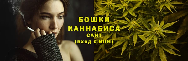 индика Богородицк