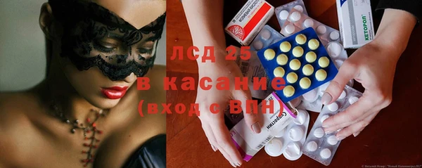 прущие грибы Богданович