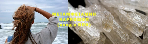 индика Богородицк