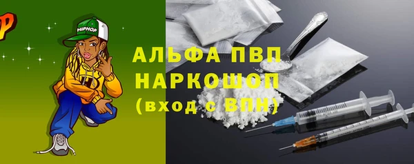 индика Богородицк