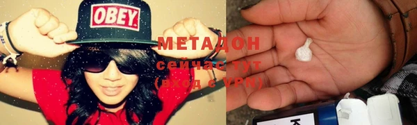 прущие грибы Богданович