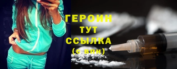 индика Богородицк