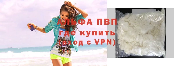 индика Богородицк