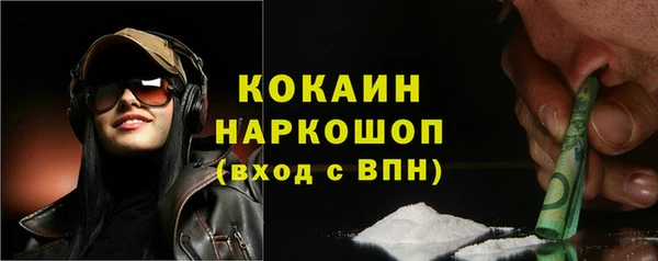 индика Богородицк