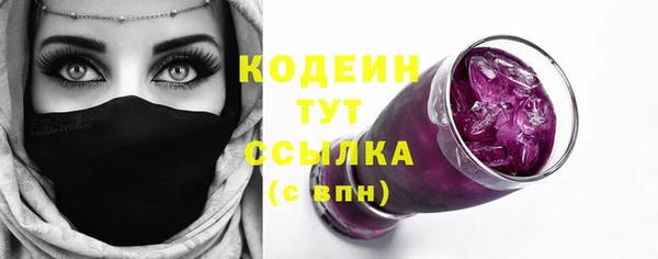 прущие грибы Богданович