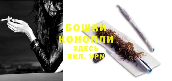 индика Богородицк