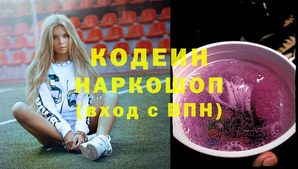 индика Богородицк