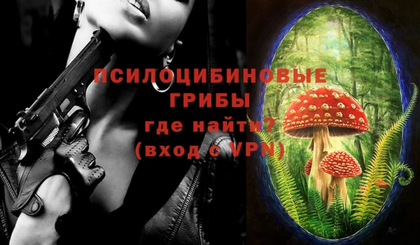 индика Богородицк