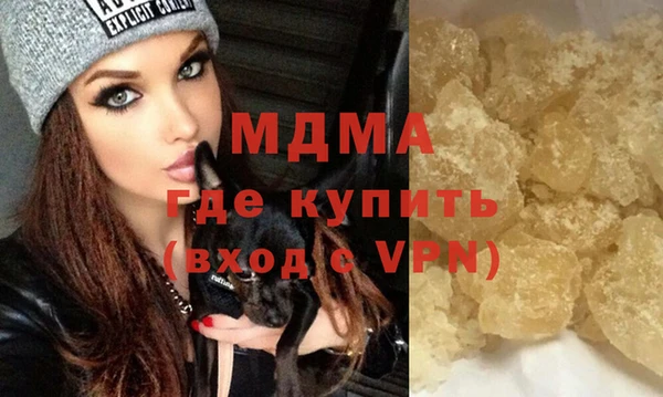 индика Богородицк