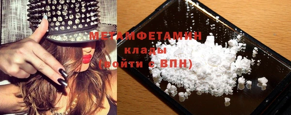 прущие грибы Богданович