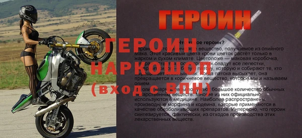 прущие грибы Богданович