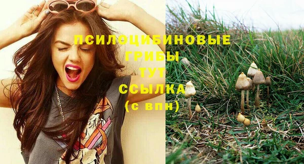 индика Богородицк
