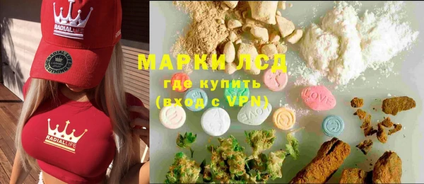 прущие грибы Богданович