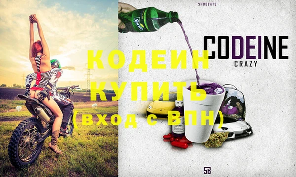 индика Богородицк