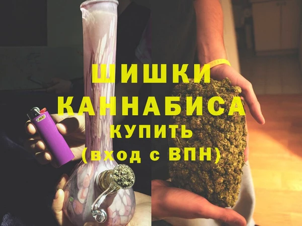 индика Богородицк