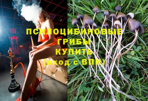 индика Богородицк