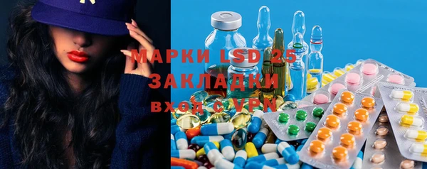 прущие грибы Богданович