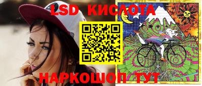 spice Гатчина