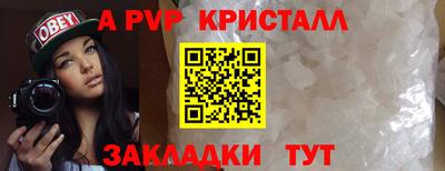 spice Гатчина
