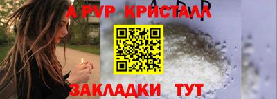 spice Гатчина