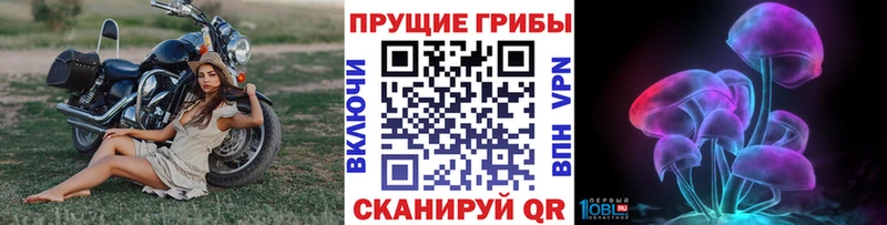Псилоцибиновые грибы MAGIC MUSHROOMS Горно-Алтайск
