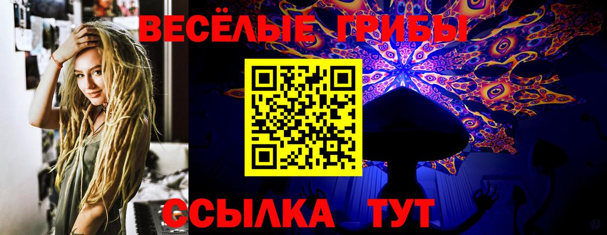 Псилоцибиновые грибы мухоморы  Горно-Алтайск 